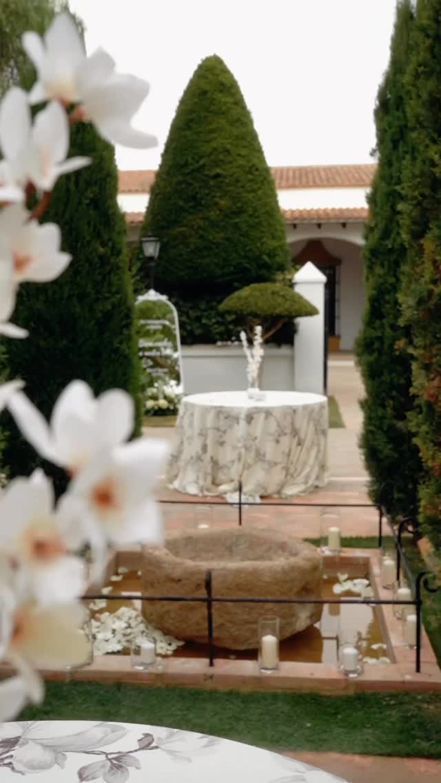 Un romance entre cerezos 🤍🌸 Elia y Tomás sentían una conexión especial con Japón y para la decoración de su boda les propusimos añadir pequeños detalles que ayudaran a crear una atmósfera mágica, oriental y elegante. Elia, durante la elección de menaje, sintió un flechazo a modo de señal en cuanto vio el mantel estampado con ramas de cerezo y desde ese momento supimos que la boda giraría entorno a aquella mantelería. ✨ A nosotras no nos pudo encantar más el resultado, amor y cariño puestos en cada detalle. 🫶🏻 Wedding Planner, Diseño y Decoración @cuccarosse Content Creator @vazartstudio Venue @haciendalosfrailesdesanalberto Catering @guadalquivircatering Centro floral espejo @eventovipdecor #cuccarosse #weddingplannersevilla #weddingsevilla #destinationweddingseville #cherryblossomwedding