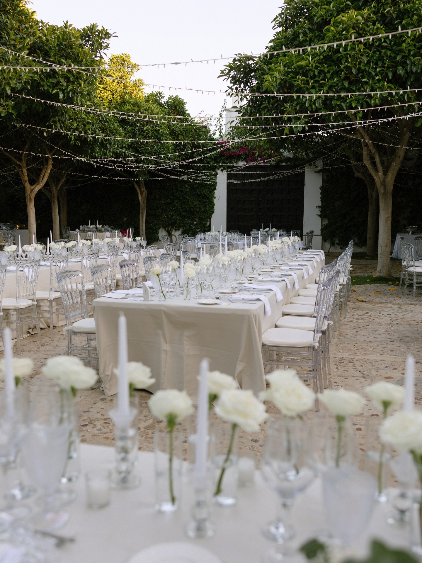 Beautiful white roses, twinkling lights and crystal chandeliers set the stage for an unforgettable wedding day 💍🤍 Wedding Planner, Diseño y Decoración @cuccarosse Fotografía @jesusmartinezphotos Video @macedofilms Venue @haciendalosfrailesdesanalberto Catering @guadalquivircatering Decoración floral @eventovipdecor Papelería @danabecrea Iluminación @luce_tu_boda DJ y sonido @spiritmusic_djs #cuccarosse #weddingplannersevilla #weddingsevilla #destinationweddingseville #luxurywedding