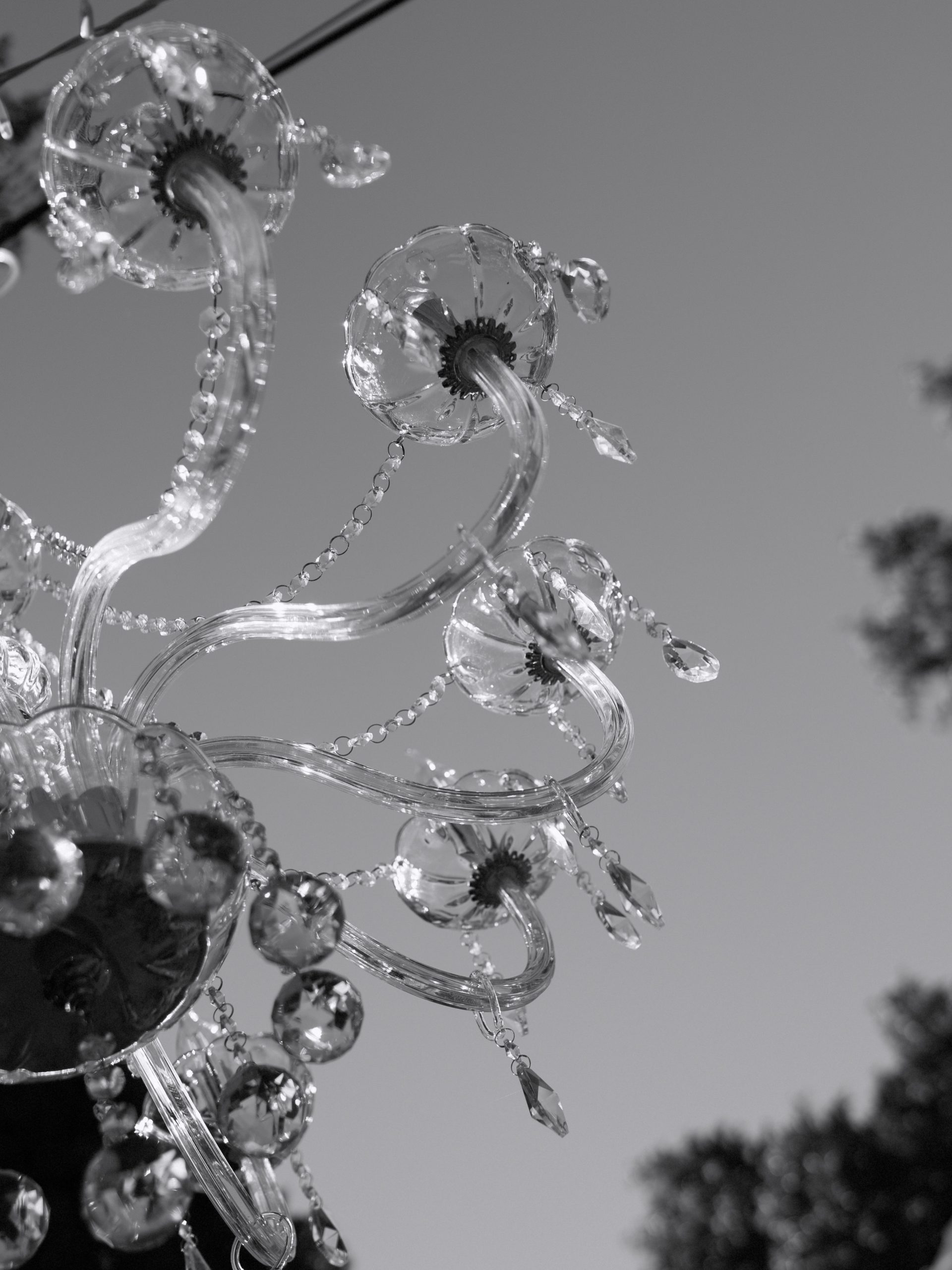 Seconds of stillness, suspended in time, before the grand moment. Wedding Planner, Diseño y Decoración @cuccarosse Fotografía @jesusmartinezphotos Video @macedofilms Venue @haciendalosfrailesdesanalberto Catering @guadalquivircatering Decoración floral @eventovipdecor Iluminación @luce_tu_boda #weddingplannersevilla #weddingsevilla #destinationweddingseville #bodassevilla #weddingdetails