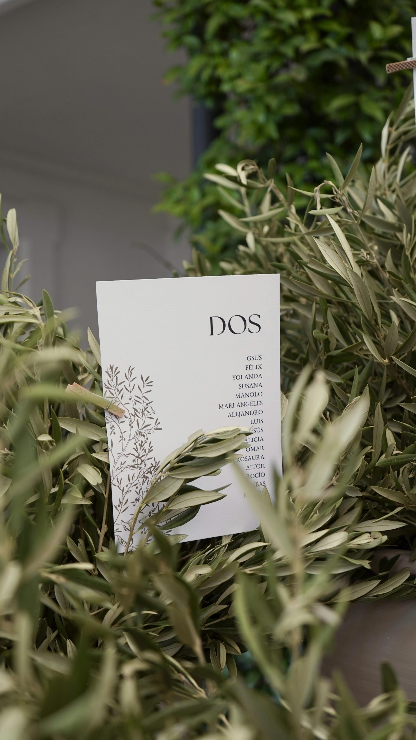 Encuentra tu sitio entre hojas de olivo 🌿 Wedding Planner, Diseño y Decoración @cuccarosse Content Creator @vazartstudio Venue @eltrobalcortijo Catering @santacruz.catering #cuccarosse #weddingplannersevilla #weddingsevilla #destinationweddingseville #seatingplanideas